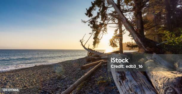 Unique Rock Formation At Sandcut Beach On The West Coast Stock Photo - Download Image Now