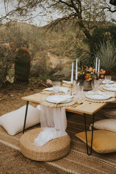 istock Modern bohemian style picnic 1341313148