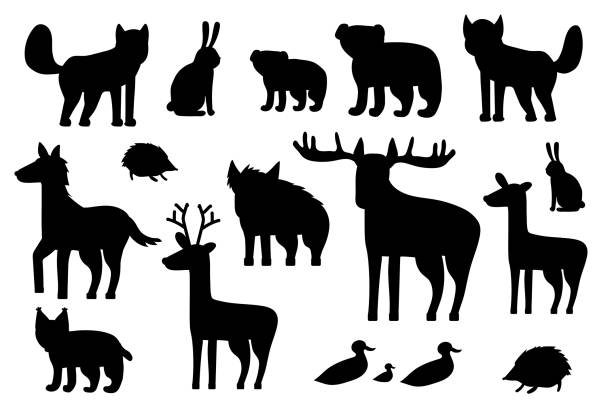 Bear Cub Silhouette Illustrations, Royalty-Free Vector Graphics & Clip ...