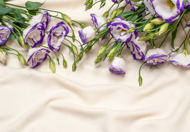 istock delicate blue flowers on an ivory fabric background 1341316733