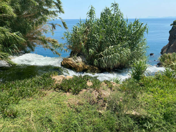 coole aussicht von über dem rand einer grünen klippe und der zerklüfteten felsigen küste, die von schäumenden smaragdwellen getroffen wird. atemberaubende aufnahme der schwarzen küste und des wassers, das in die klippe stürzt - cliff at the edge of grass sea stock-fotos und bilder