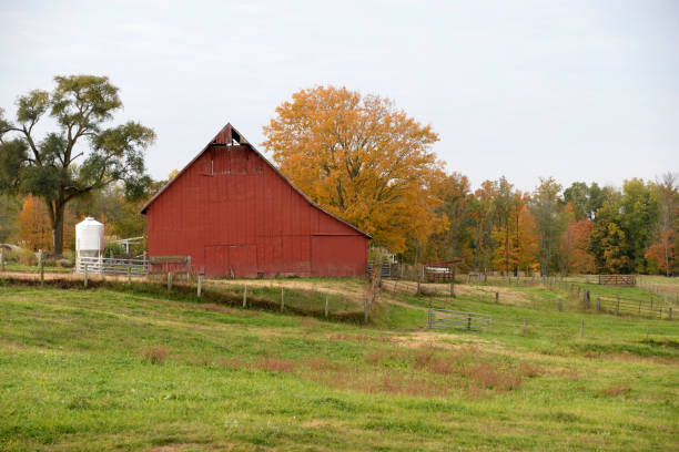 istock Near Clinton Falls, Indiana 1341319317
