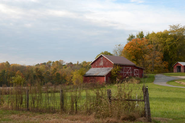 istock Near Clinton Falls, Indiana 1341319338