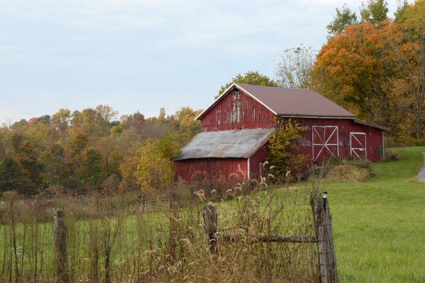 istock Near Clinton Falls, Indiana 1341319346