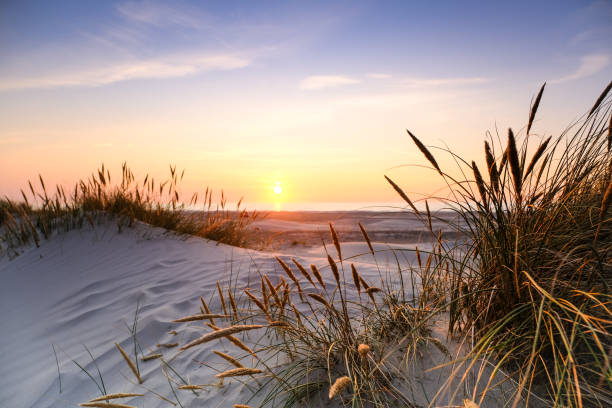 wspaniały zachód słońca na wybrzeżu północnej jutlandii - wydma zdjęcia i obrazy z banku zdjęć
