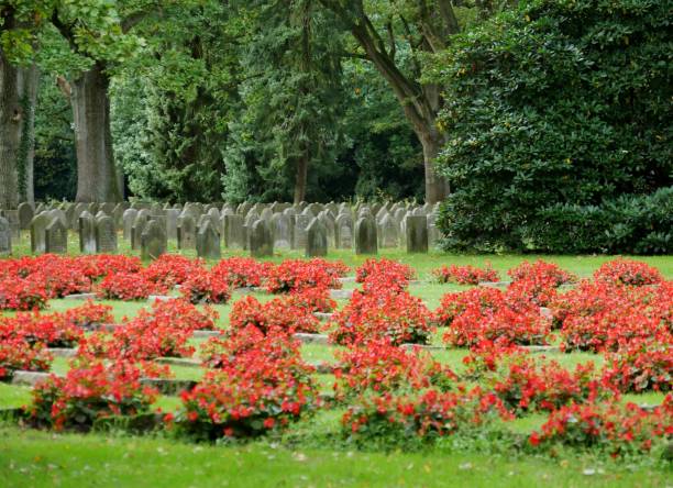 Begonias and grave, tombstone with cross, German cemetery.