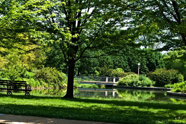 A Bridge in the Park