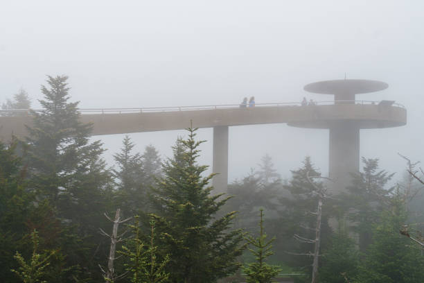 Clingmans Dome observation tower on a foggy day