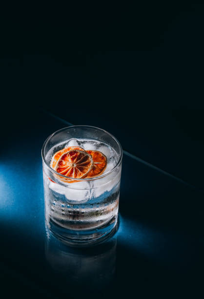istock Mineral water with ice and dry lemon 1341325527