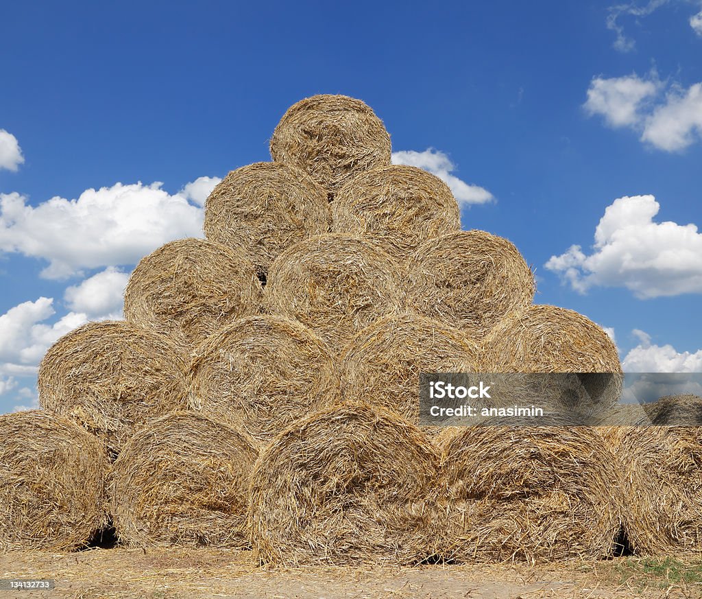 "Harvest" - Lizenzfrei Agrarbetrieb Stock-Foto