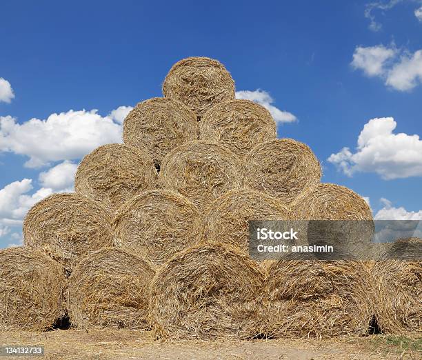 Harvest Stockfoto und mehr Bilder von Agrarbetrieb - Agrarbetrieb, Blau, Farbbild