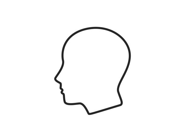 ilustraciones, imágenes clip art, dibujos animados e iconos de stock de icono de línea de cabeza humana. signo de persona de estilo simple. elemento infográfico y símbolo para el diseño web - perfil vista de costado