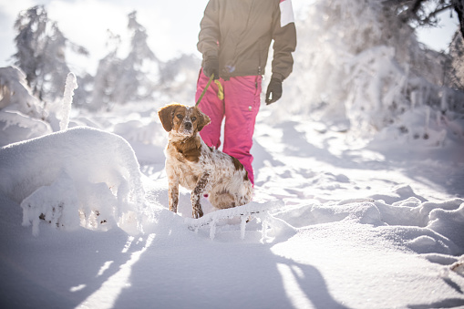 Young woman walking in nature on winter day with her dog