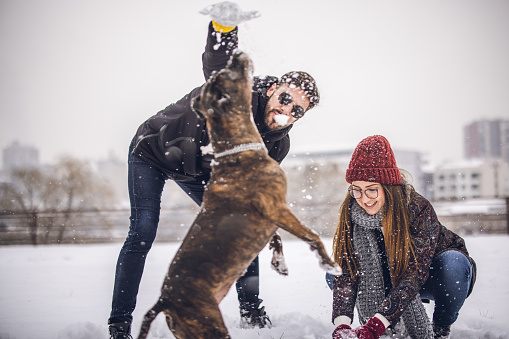Young smiling couple spending time in park with their dog and playing on snowy day
