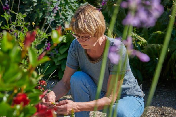 istock Picking some seeds for next years flowers 1341332443