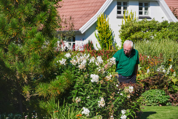 istock Senior man working in the garden 1341332498