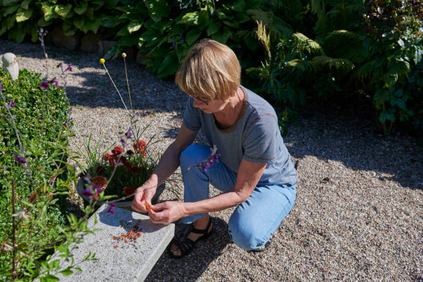 istock Picking some seeds for next years flowers 1341332551