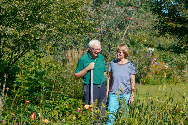 istock Senior couple chatting 1341332650