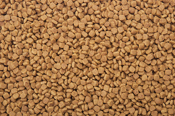 istock An image of nutritious dry meat pet food background 134133903