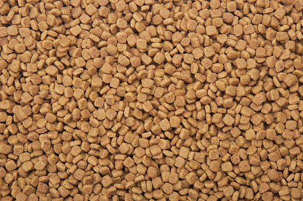 An image of nutritious dry meat pet food background stock photo
