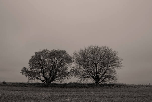 istock North American Landscapes 1341339117