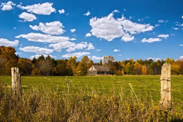 istock North American Landscapes 1341339162