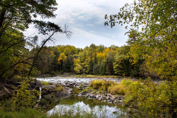 istock North American Landscapes 1341339224