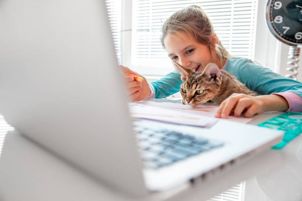 istock Girl using a laptop with her kitty during Covid-19 homeschooling quarantine 1341341644