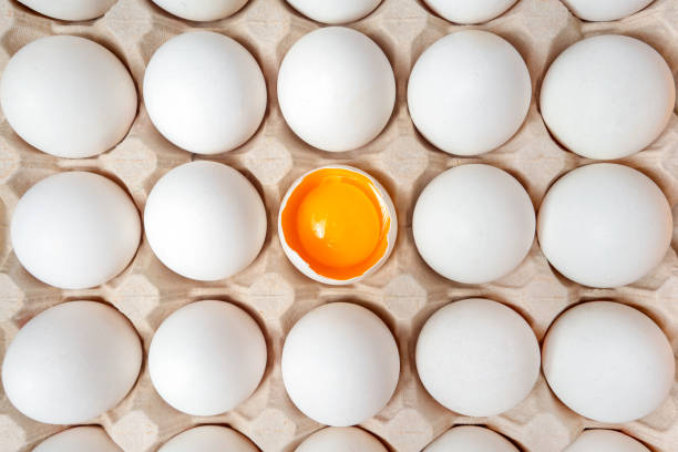 œufs blancs avec un œuf cassé dans une boîte en carton. fond d’oeufs. concept alimentaire. pose plate, vue de dessus. - oeuf aliment de base photos et images de collection