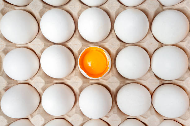 white eggs with one broken egg in carton box. eggs background. food concept. flat lay, top view. - chicken isolated yellow young animal imagens e fotografias de stock