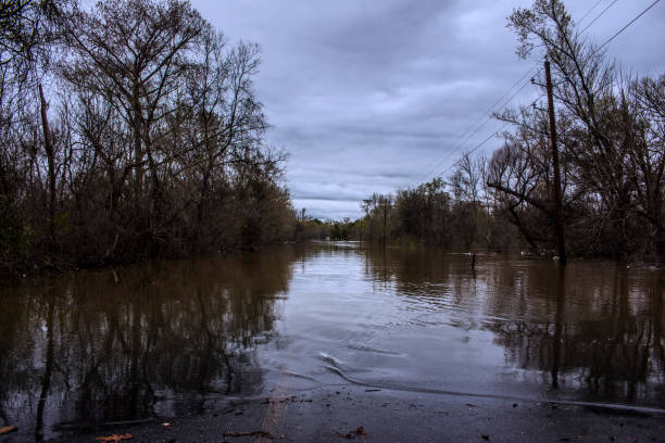istock Louisiana Historic Flooding 1341351243