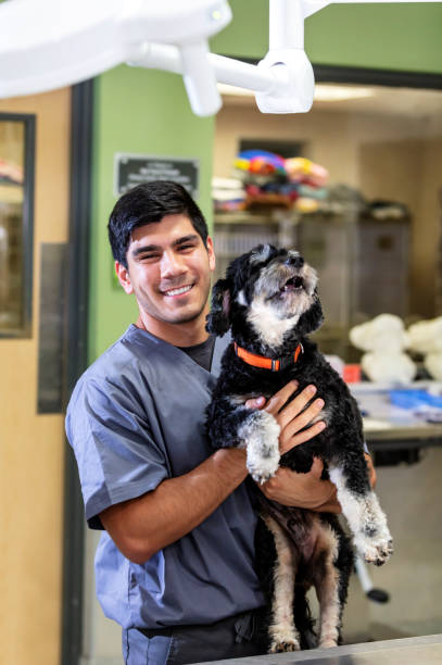 Hispanic veterinary technician holding dog stock photo