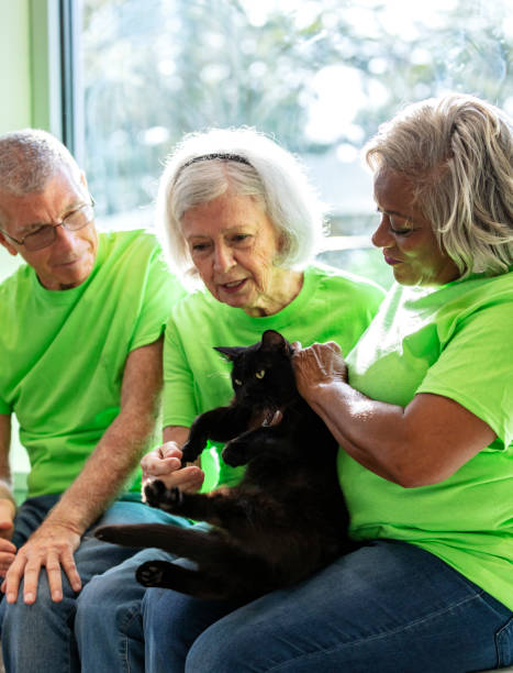 istock Three senior volunteers at pet shelter, playing with cat 1341359111