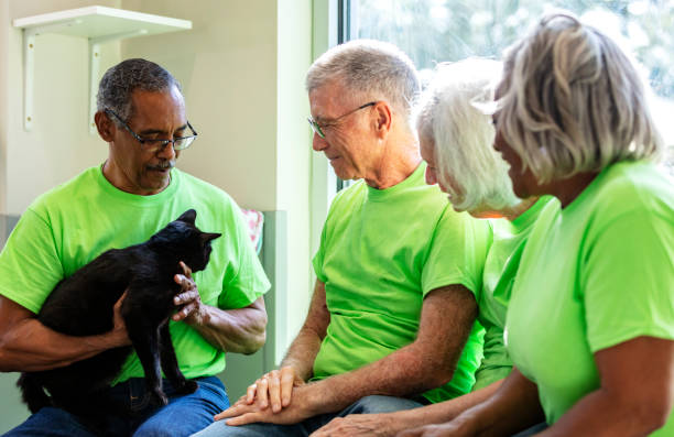 istock Four senior volunteers at pet shelter, playing with cat 1341359113