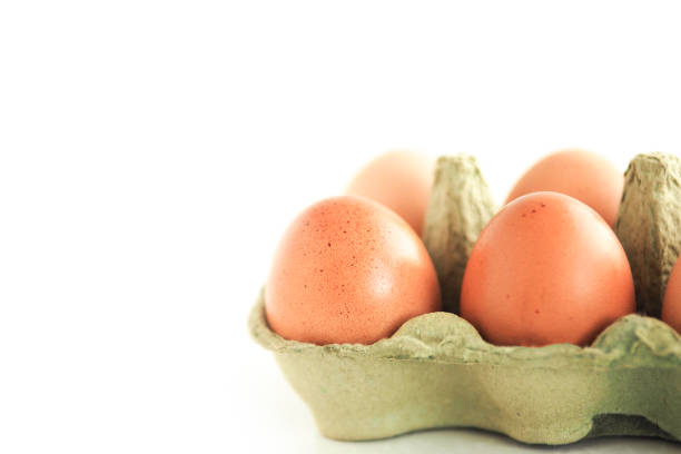 istock brown speckled chicken eggs in a substrate on a white background. copy space. 1341361203