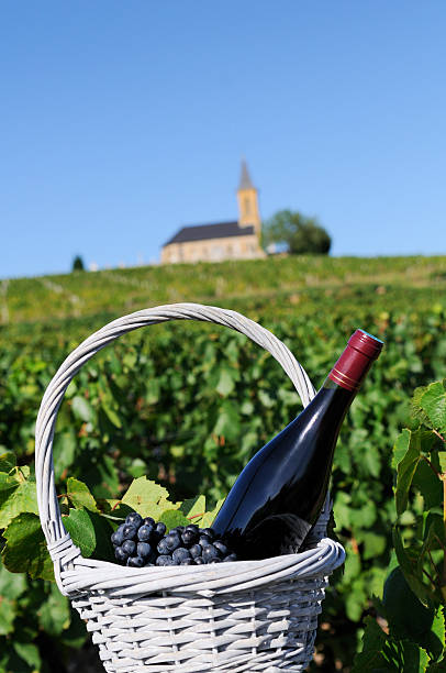 istock bottle of red wine in countryside 134136142