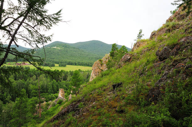 istock Gaze through pine branches to a high cliff overlooking a picturesque valley. 1341367465