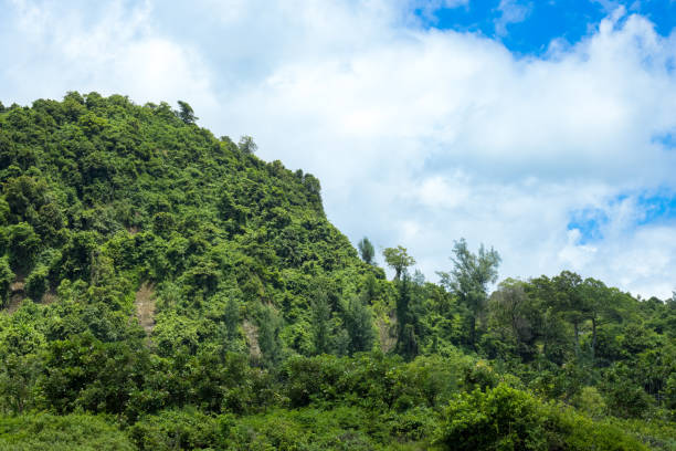 istock Green mountain close view under the bright sunny sky 1341371329