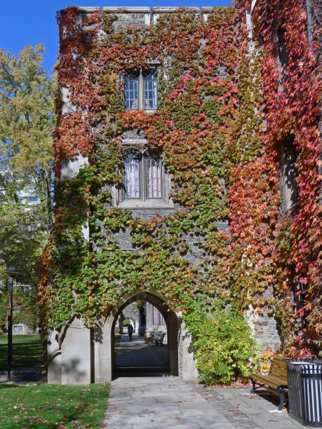 istock college building covered with ivy in brilliant fall colors 1341373783