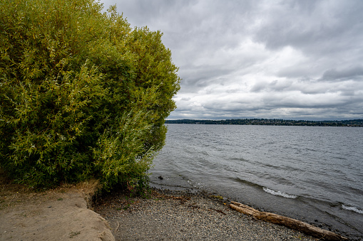 Magnuson Park in Seattle, Washington U.S.A., on an overcast September afternoon.