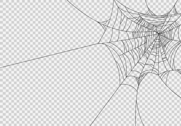 ilustrações, clipart, desenhos animados e ícones de as teias de aranha se isolam em png ou fundo transparente, banner feliz de halloween, modelo para pôster, folheto, publicidade, promoção, ilustração vetorial de marketing de venda - people in the background