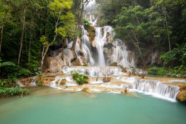 istock Tad Kwangsi, Luang Prabang 1341376107