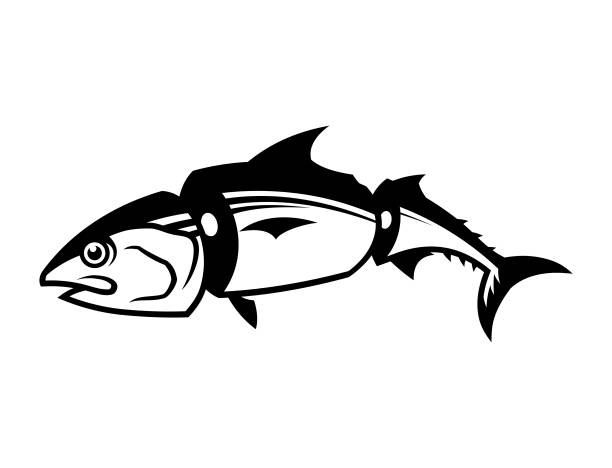 ilustraciones, imágenes clip art, dibujos animados e iconos de stock de silueta de atún en rodajas - tuna sea underwater fish