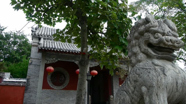 stone lions at temple entrance,historical monuments,shaking tree shadows.
