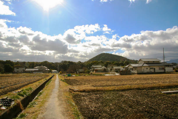 istock Narrow country road in winter 1341378911