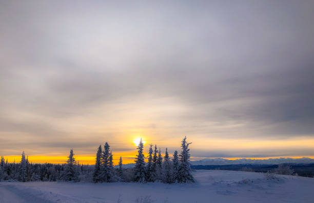 istock Winter sunrise in Alaska 1341380854