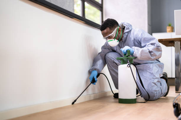 istock Pest Control Exterminator Man Spraying Termite Pesticide 1341381729
