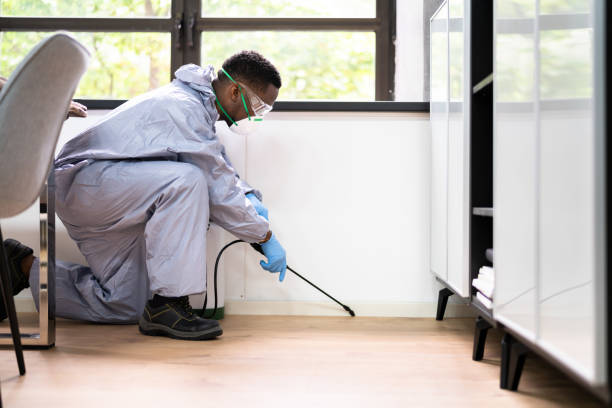 istock Pest Control Exterminator Man Spraying Termite Pesticide 1341381730