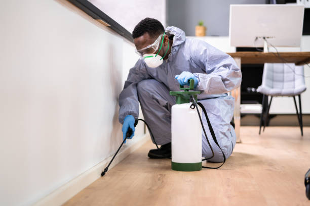 Pest Control Exterminator Man Spraying Termite Pesticide Pest Control Exterminator Man Spraying Termite Pesticide In Office cockroach photos stock pictures, royalty-free photos & images