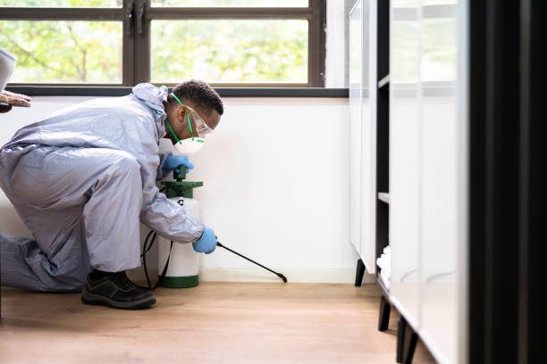 istock Pest Control Exterminator Man Spraying Termite Pesticide 1341381735